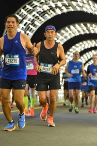 BIB: 43279, 41467, 44199
                            <button type="button" onclick="openModal(20068330)" class="btn btn-primary btn-sm float-right btn-popup" data-toggle="modal" data-target=".modal-high-quality">
                        <i class="fas fa-shopping-cart"></i> Add to Cart
                    </button>
                                            <button type="button" onclick="isThisMe(20068330, true)" class="btn btn-success btn-sm float-right btn-popup btn-isme hidden" data-toggle="tooltip" data-placement="bottom" title="นี่คือรูปของคุณใช่ไหม คลิกที่นี่เพื่อเอาเข้าอัลบั้ม">
                        <i class="fas fa-plus"></i> Add to album
                    </button>
                    <button type="button" onclick="isThisMe(20068330, false)" class="btn btn-warning btn-sm float-right btn-popup btn-isnotme hidden">
                        <i class="fas fa-ban"></i> Remove from album
                    </button>